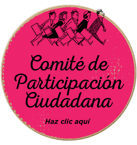 Comité de participación ciudadana